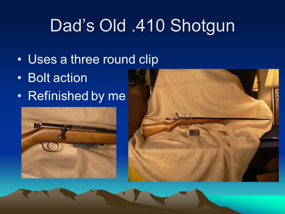 410 shotgun