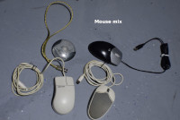 mice