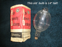 bulb